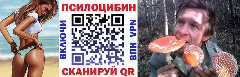 Псилоцибиновые грибы MAGIC MUSHROOMS  Чаплыгин 